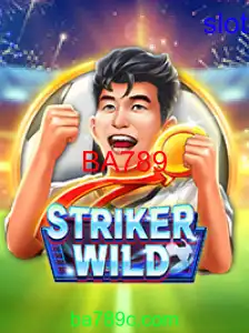 StrikerWILD